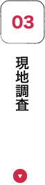 現地調査